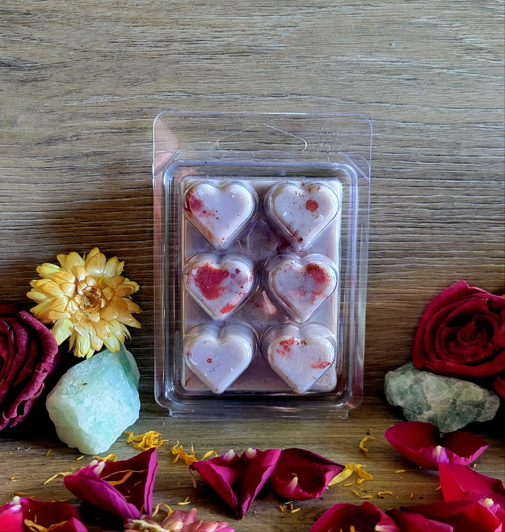 Clamshell Soy Melts- 6 Cavity, Highly Scented, Herbal Infused - The Enchanted Chandlery